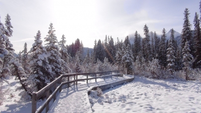 Canmore Alberta im Winter (Alexander Mirschel)  Copyright 
Información sobre la licencia en 'Verificación de las fuentes de la imagen'